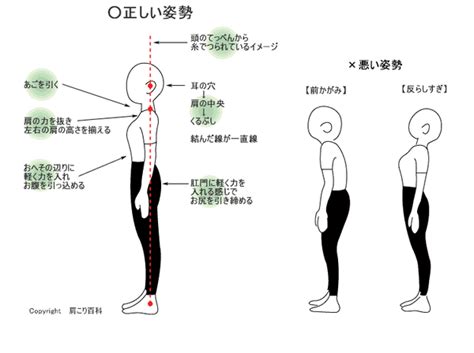 人 姿勢|【意外と知らない正しい姿勢の作り方】理学療法士直。